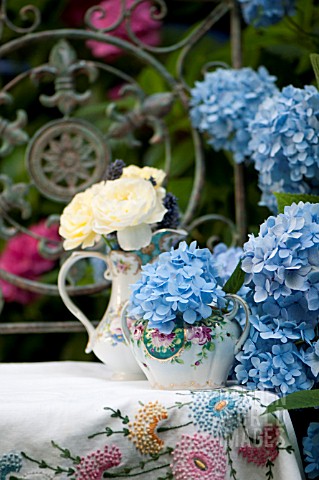 HYDRANGEA_MACROPHYLLA_ENDLESS_SUMMER_IN_VASE_WITH_ROSA_GRAHAM_THOMAS_AND_ROSA_THE_LOVELY_FAIRY