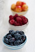 SUMMER FRUITS IN BOWLS – BLUEBERRIES, RASPBERRIES AND RAINIER CHERRIES