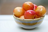 RAINIER CHERRIES IN BOWL IN SUMMER