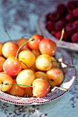 RAINIER CHERRIES IN BOWL IN SUMMER