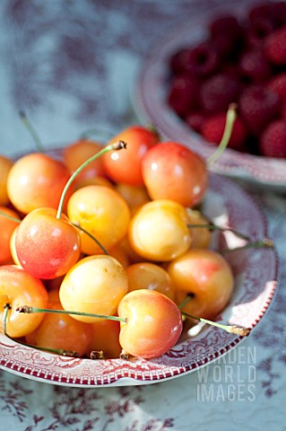 RAINIER_CHERRIES_IN_BOWL_IN_SUMMER