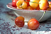 RAINIER CHERRIES IN BOWL IN SUMMER