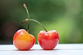 RAINIER CHERRIES IN SUMMER