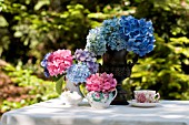HYDRANGEA MACROPHYLLA NIKKO BLUE AND ENDLESS SUMMER IN URN WITH PINK PARFAIT, AND GLOWING EMBERS