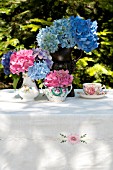 HYDRANGEA MACROPHYLLA NIKKO BLUE AND ENDLESS SUMMER IN URN WITH PINK PARFAIT, AND GLOWING EMBERS