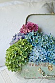 HYDRANGEA MACROPHYLLA NIKKO BLUE, ENDLESS SUMMER AND GLOWING EMBERS IN DECORATIVE CASE ON BED WITH ANTIQUE LINENS.