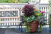 LARGE OUTDOOR CONTAINER WITH ANNUALS INCLUDING NICOTIANA, SCENTED GERANIUM, SNAPDRAGON AND COLEUS
