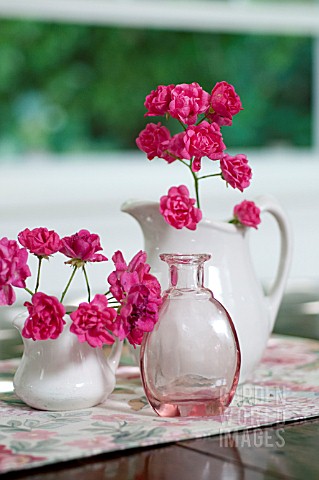 ROSA_THE_LOVELY_FAIRY_IN_WHITE_PITCHERS_WITH_PINK_GLASS_BOTTLE