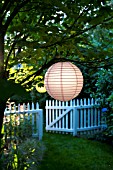 CHINESE PAPER LANTERNS LIT BY MORNING SUN IN GARDEN WITH WHITE PICKET FENCE AND GATE