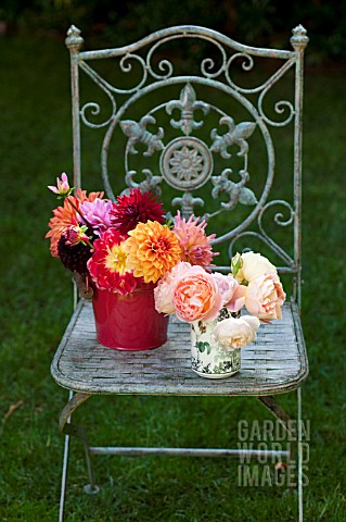MIXED_DAHLIAS_IN_RED_BUCKET_WITH_DAVID_AUSTIN_ROSES_IN_TOILE_VASE_ON_ORNATE_IRON_GARDEN_CHAIR