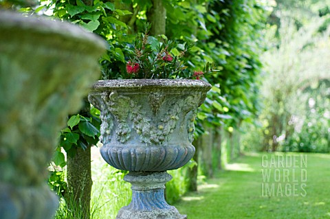 DECORATIVE_PAINTED_URN_IN_CLASSICAL_GARDEN_UNDER_GRAPE_ARBOUR