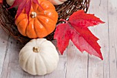 BABY BOO AND JACK BE LITTLE PUMPKINS IN AUTUMN DISPLAY