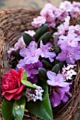 BASKET OF SPRING FLOWERING BLOSSOMS