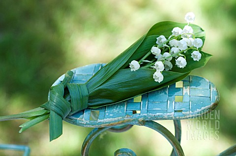 BOUQUET_OF_CONVALLARIA_MAJALIS