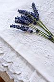 FRESH CUT LAVENDER SPRIGS ON WHITE LINEN IN SUMMER