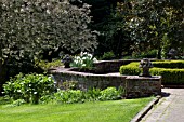 BRICK PATIO OF FORMAL GARDEN WITH NARCISSUS AND CHERRY BLOSSOMS.