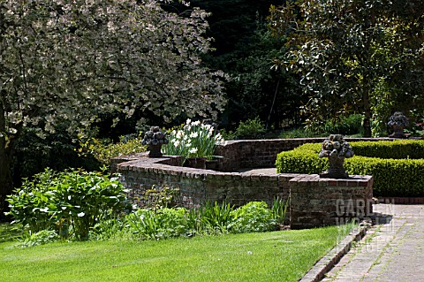 BRICK_PATIO_OF_FORMAL_GARDEN_WITH_NARCISSUS_AND_CHERRY_BLOSSOMS