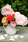 MIXED CUT ROSES IN VASE
