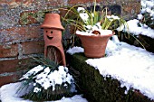 CHARACTER POTS IN SNOW