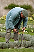 TRIMMING WITH SHEARS,  CHATEAU DE CHENONCEAU,  LOIRE VALLEY