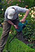 TRIMMING EDGING WITH ELECTRIC TRIMMER