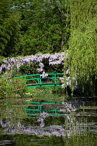 BRIDGE_AND_WISTERIA_REFLECTED_IN_POND_AT_MONETS_GARDEN_GIVERNY_FRANCE