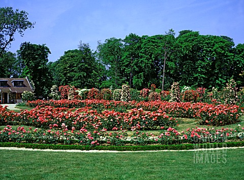 LA_ROSERAIE_DE_LHAY_LES_ROSES_ROSE_GARDEN