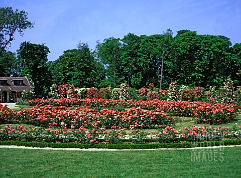 LA_ROSERAIE_DE_LHAY_LES_ROSES_ROSE_GARDEN