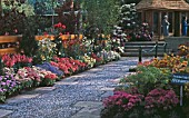 HISTORICAL RHS CHELSEA, POPULAR GARDENING SHOW GARDEN 1963