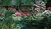 HISTORICAL RHS CHELSEA 1966 SHOW GARDEN WITH RHODODENDRONS AND AZALEAS