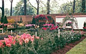 HISTORICAL RHS CHELSEA SHOW GARDEN 1958, PLANTPUBLICITY HOLLAND.