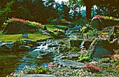 HISTORICAL RHS CHELSEA ROCK GARDEN 1958 BY GEO G WHITELEGG.