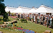 HISTORICAL RHS CHELSEA 1959 GARDEN BY EDMUND L. dE ROTHSCHILD