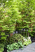 RHS CHELSEA FLOWER SHOW 2013, SEEABILITY GARDEN, DESIGNER DARREN HAWKES  GOLD MEDAL WINNER.