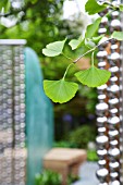 RHS CHELSEA FLOWER SHOW 2013, SEEABILITY GARDEN, DESIGNER DARREN HAWKES  GOLD MEDAL WINNER.