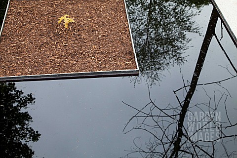 STOP_THE_SPREAD_DESIGNER_JO_THOMPSON_FRAXINUS_EXCELSIOR_ASH_RHS_CHELSEA_FLOWER_SHOW_2013__REFLECTION