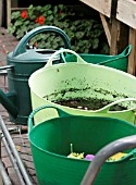 WATERING AND TIDYING GREENHOUSE