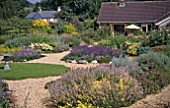 Chamaemelum nobile, Chamomile lawn with gravel paths