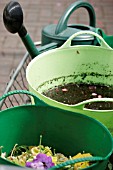 WATERING AND TIDYING GREENHOUSE