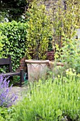 GAINSBOROUGHS GARDEN, SUDBURY