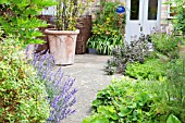 GAINSBOROUGHS HOUSE GARDEN, SUDBURY.  PLANTS CLOCKWISE FROM BOTTOM LEFT.  HYPERICUM HIDCOTE, NEPETA SIX HILLS GIANT,PAEONIA LUTEA,PHYLLOSTACHYS NIGRA, JASMINUM OFFICINALE ARGENTEOVARIEGATUM, IRIS GERMANICA,SALVIA OFFICINALISPURPURASCENS,GALLIUM ODARATUM,TANACETUM VULGARE,ORIGANUM VIULGARE,FOENICULUM VULGARE PURPUREUM.