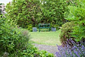 MORUS NIGRA, GAINSBOROUGHS HOUSE GARDEN, SUDBURY