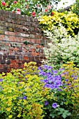 EUPHORBIA AMYGDALOIDES VAR. ROBBIAE, GERNAIUM X MAGNIFICUM AND FILLIPENDULA PURPUREA F. ALBIFLORA, GAINSBOROUGHS HOUSE GARDEN, SUDBURY