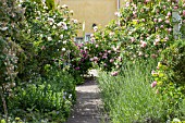 GAINSBOROUGHS HOUSE GARDEN, SUDBURY