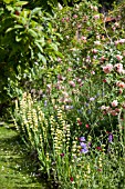 GAINSBOROUGHS HOUSE GARDEN, SUDBURY