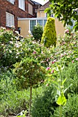 GAINSBOROUGHS HOUSE GARDEN, SUDBURY