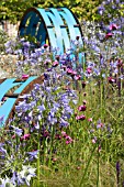 THE ECOVER GARDEN BY MATTHEW CHILDS, RHS HAMPTON COURT FLOWER SHOW  BEST IN SHOW AND GOLD MEDAL WINNER