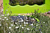 THE ECOVER GARDEN BY MATTHEW CHILDS, RHS HAMPTON COURT FLOWER SHOW  BEST IN SHOW AND GOLD MEDAL WINNER