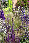 THE ECOVER GARDEN BY MATTHEW CHILDS, RHS HAMPTON COURT FLOWER SHOW  BEST IN SHOW AND GOLD MEDAL WINNER