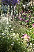 THE MCARTHY AND STONE GARDEN BY CHRIS BEARDSHAW, RHS HAMPTON COURT FLOWER SHOW. GOLD MEDAL WINNER